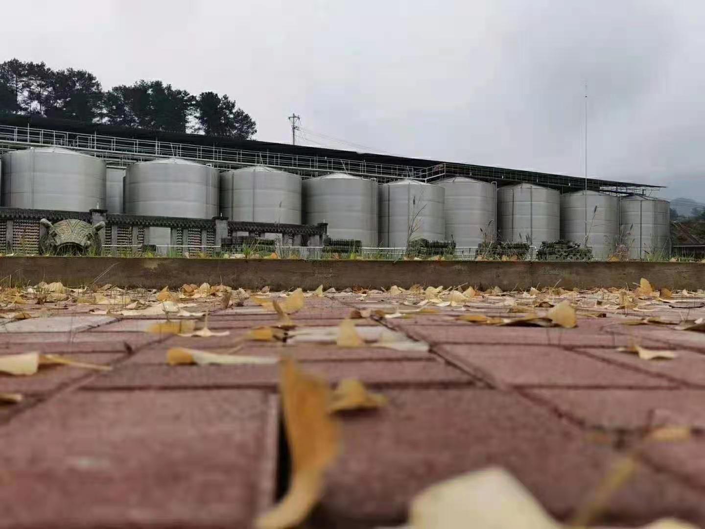 黔莊酒業(yè)原酒儲存