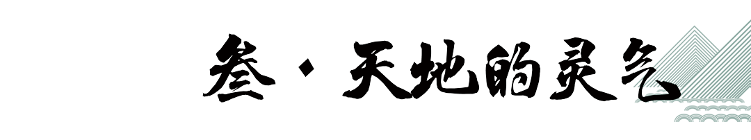 金秋品酒-黔莊龍酒