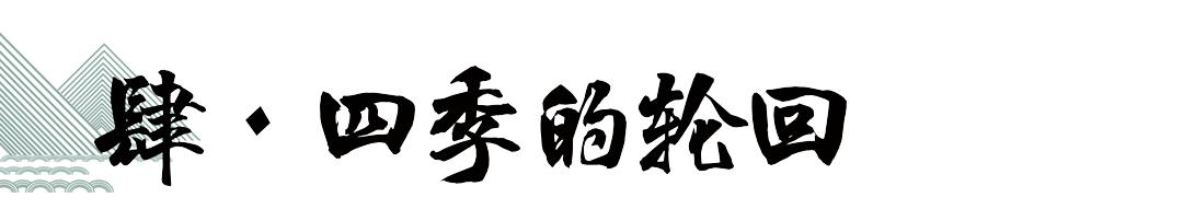 金秋品酒-黔莊龍酒