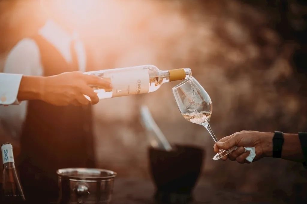 喝了這么多酒，你真的會倒酒嗎？