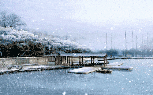 花雪隨風(fēng)不厭看