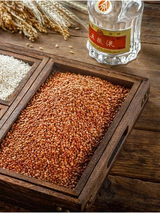 “單糧酒”和“多糧酒”有什么區(qū)別？