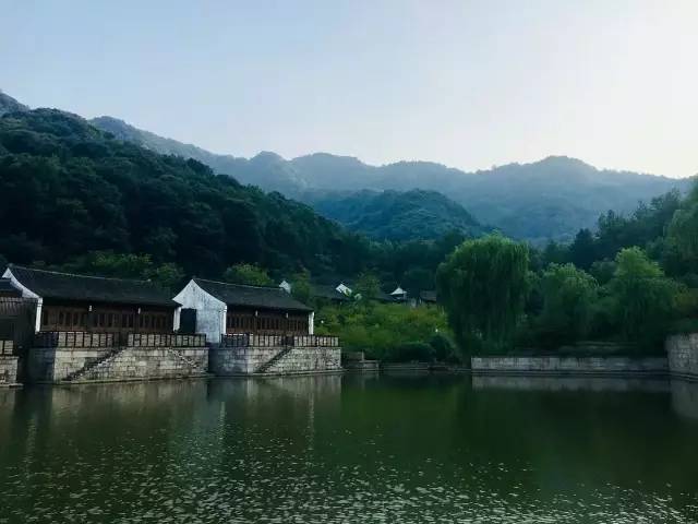 花半開，酒微醺