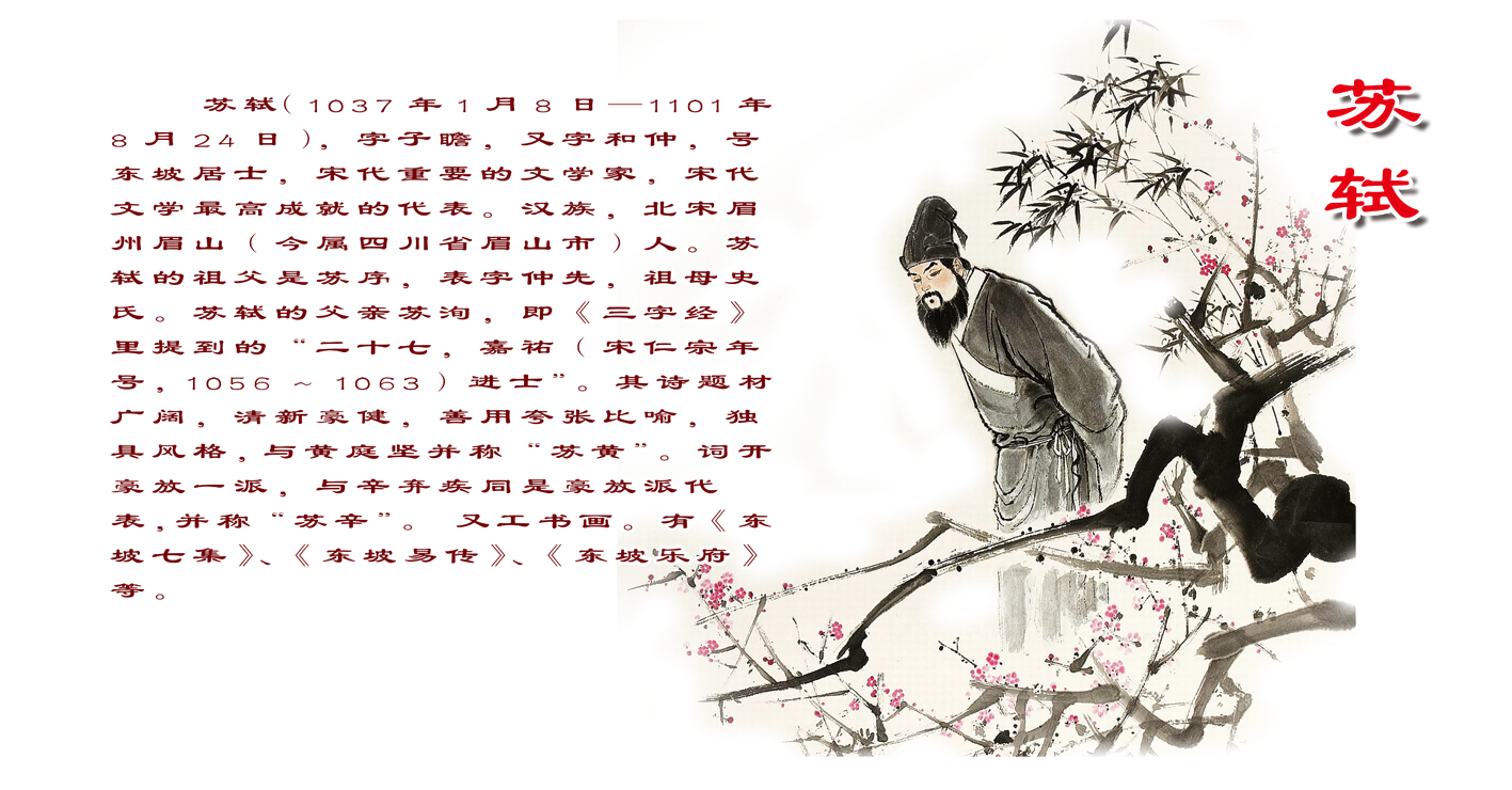 蘇軾:詩酒趁年華